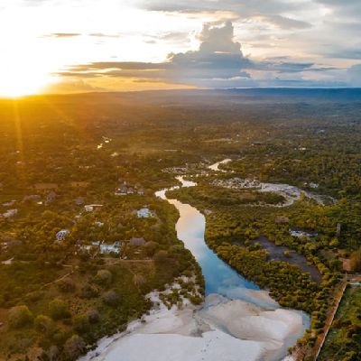 martinkellmen's profile picture. 🇰🇪