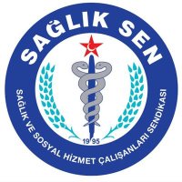 Sağlık-Sen Trabzon Gençlik Kolları Başkanlığı(@ss_genclik61) 's Twitter Profile Photo