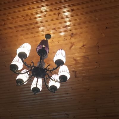 narator94's profile picture. 💙 https://t.co/uhmXuYicPn Army
$FAR 
#zkApes 
https://t.co/8yZdsd8eur