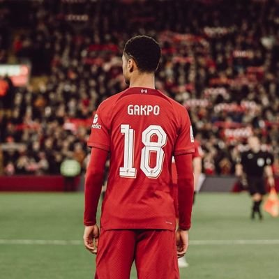 Roelvdll's profile picture. 🐐