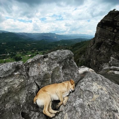 “La piedra que desecharon los constructores es ahora la piedra angular.”