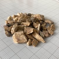 Palaeoanthropology CDF (@palaeocdf) 's Twitter Profile Photo Palaeoanthropology CDF (@palaeocdf) 's Twitter Profile Photo
