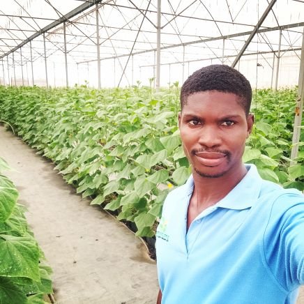 Farmer, Agronomist, consultant. Greenhouse, Open-field, agric influencer, Agritech, Agripreneur, youth in Agric