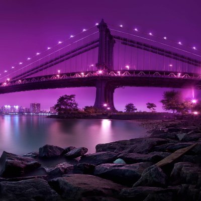 MauroFalsa's profile picture. 