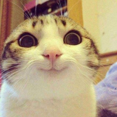 Ndrie2363559341's profile picture. can't sleep