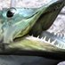 MUSKELLUNGE120 (@loneranger120) Twitter profile photo MUSKELLUNGE120 (@loneranger120) Twitter profile photo