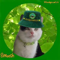 Angel Smoosh's PA, aka Mum (@smooshface31) 's Twitter Profile