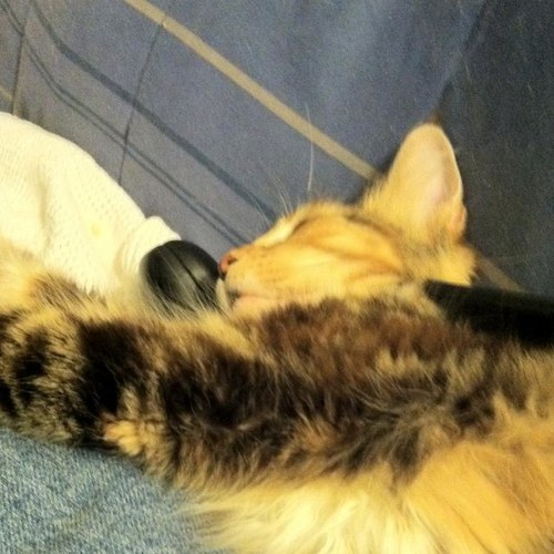 Mariane1958's profile picture. 