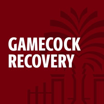 We promote a nurturing campus and community environment to ensure that all students in recovery can achieve academic and personal success.