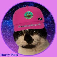 Harry Puss 🌈🐾💔(and Tracey his Mum)(@BaronHarryPuss) 's Twitter Profile Photo