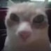 El_queseso (@el_queseso) Twitter profile photo El_queseso (@el_queseso) Twitter profile photo