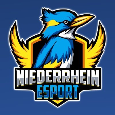 Willkommen auf dem offiziellen Twitter-Kanal von Niederrhein Esport! 🎮👋
https://t.co/oALIKcXCyC