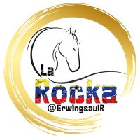 Erwing Saul La Rocka(@ErwingsaulR) 's Twitter Profile Photo