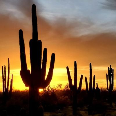 madhanraja's profile picture. 