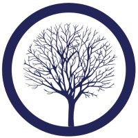 Springtree Media Group (@springtreemg) 's Twitter Profile