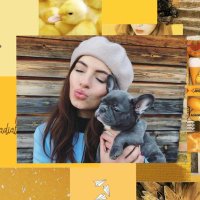 lou💛 (@corriedalexo) Twitter profile photo