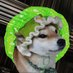 Junyi (@traffic_mind) Twitter profile photo Junyi (@traffic_mind) Twitter profile photo
