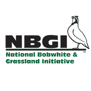 NBGI is the unified effort of 25 state fish and wildlife agencies to restore wild populations of bobwhite quail.