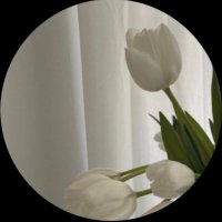 لـيان⚖️ (@la_041) Twitter profile photo