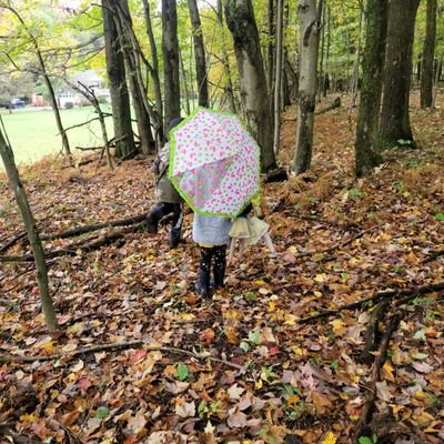 Jd_Dew's profile picture. Trying to make sense of the decline of common sense. I'm always searching for the real truth not MY truth or YOUR truth.