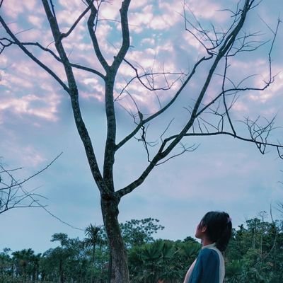 MoranPakhi's profile picture. 