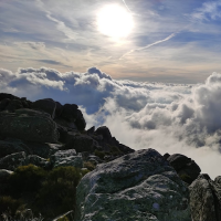 Marco PCS Andrade (@mpoloandrade) 's Twitter Profile Photo