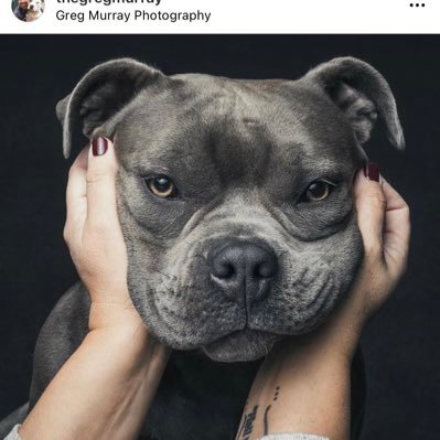 SJW, BLM, Patriarchy is inherent evil, pit bulls are inherent good. Film, music & art snob. Sex-positive, some tweets may require parental supervision. She/her.