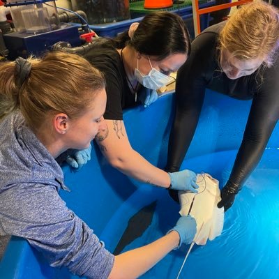 asparagus_hater's profile picture. she/they