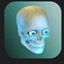 sans the skeleton (@69memerlord69) Twitter profile photo