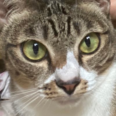 wiwiiiwiwiiiwi's profile picture. อิชั้นทำงานเพื่อดำรงกิจการร้านนวดและสปาให้คงอยู่สืบไป พร้อมที่งผดุงความเจริญของร้านกาแฟและคอฟฟี่ช้อป