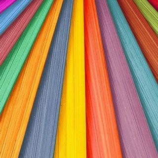 fiona__leahy's profile picture. 