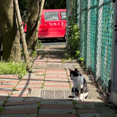 ty_tseng's profile picture. 