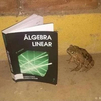 negred_'s profile picture. quem morre sabe se viveu