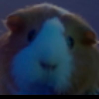 DemonicL2R2's profile picture. Competitive Fortnite Player for Make sure to subscribe to the YOUTUBE! @fncompetitive 100 Earned$