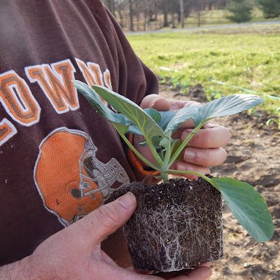 AdmTrell's profile picture. 