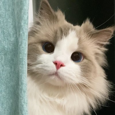 mohamma97198574's profile picture. 🍀幸せな毎日を送るために、いろいろなことに興味を持って学んでみてください~旅行が好きで映画が好きです。私はずっと株式に投資することだ。