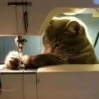 YouJian-Latex-Studio (@zyf10012) 's Twitter Profile