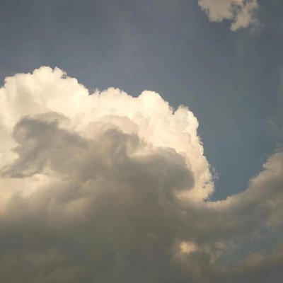 wgjzssrg's profile picture. 咸鱼