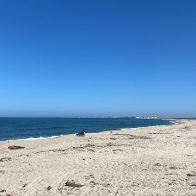 HB6006's profile picture. IIS ITESM