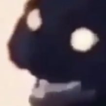 sanfobelike's profile picture. I am Chaos_Magma