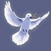 Silver Dove (@Derby_Dain) Twitter profile photo