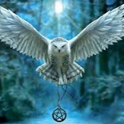 MatulkaRg67583's profile picture. 
