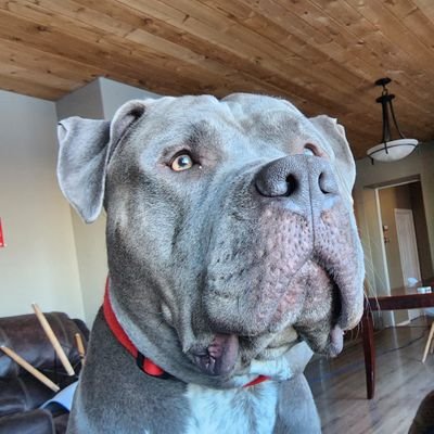 sapituria65759's profile picture. Leer