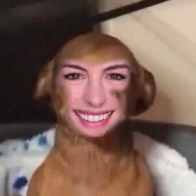 dewthestankyleg's profile picture. 