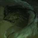 john traina - @dminaug - Twitter