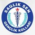 SAĞLIK SEN KIRIKKALE GENÇLİK KOLLARI BAŞKANLIĞI (@Ss_genclik71) Twitter profile photo