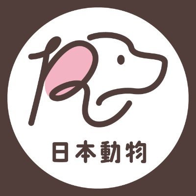 nihondoubutsu's profile picture. 楽しいキャンパスライフ＆資格に合格＆納得の就職がしたい人のための専門学校です♪
◆ 動物看護
◇グルーミング
◆ドッグトレーニング
◇ペットショップ＆セラピー
詳しくはOPEN CAMPUSで。お待ちしています☆彡
※DMでのお問合せは、受付けていません。HPからお願いします