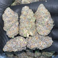 Weed for Sale Sydney(@weedsydney69) 's Twitter Profile Photo