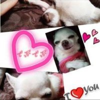 ゆきみっち (@sha1a1a0n) 's Twitter Profile Photo ゆきみっち (@sha1a1a0n) 's Twitter Profile Photo