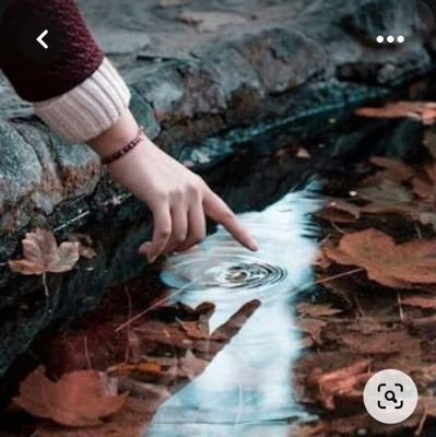 Yolcu48411059's profile picture. 